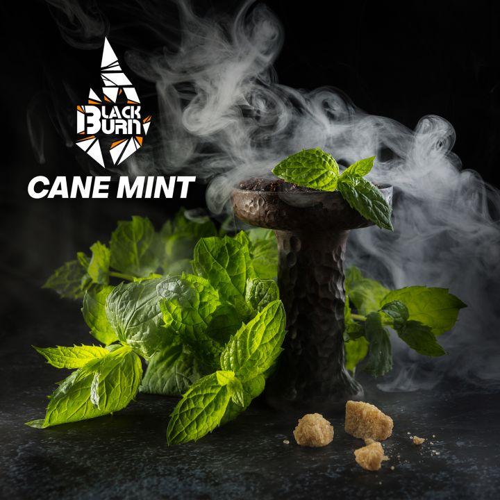BlackBurn Kane Myata (Cane Mint) 100g – New Arrival + Full BlackBurn Lineup at Hookah.pt