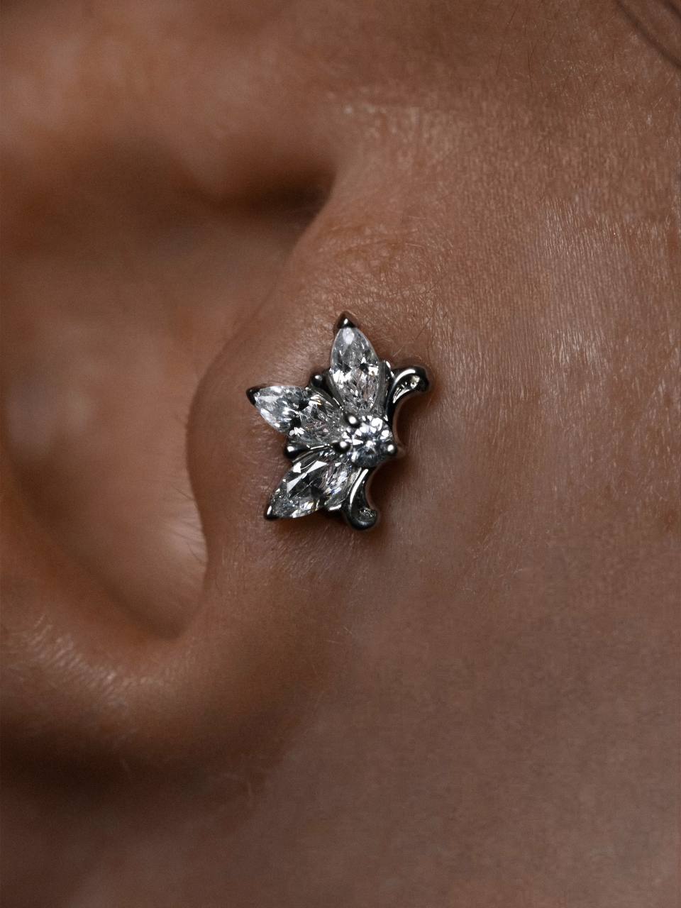 Аккуратный пирсинг козелка