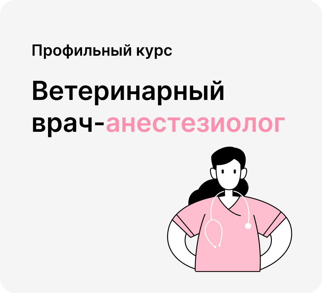 Профильный курс по ветеринарии 