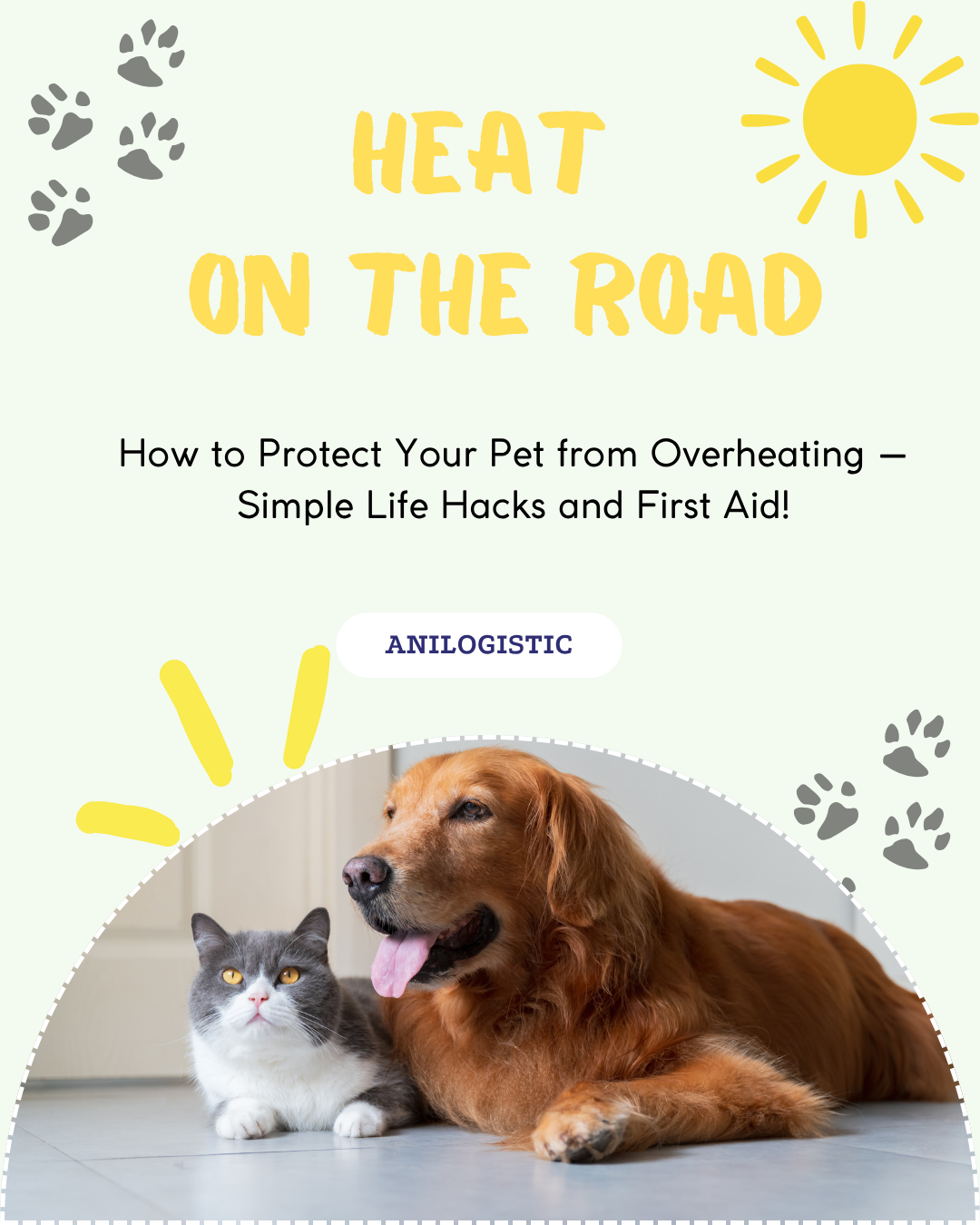 Traveling with a pet in summer — heat safety tips