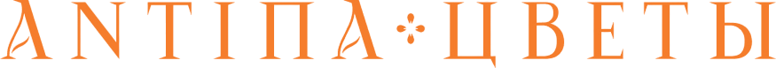Company name