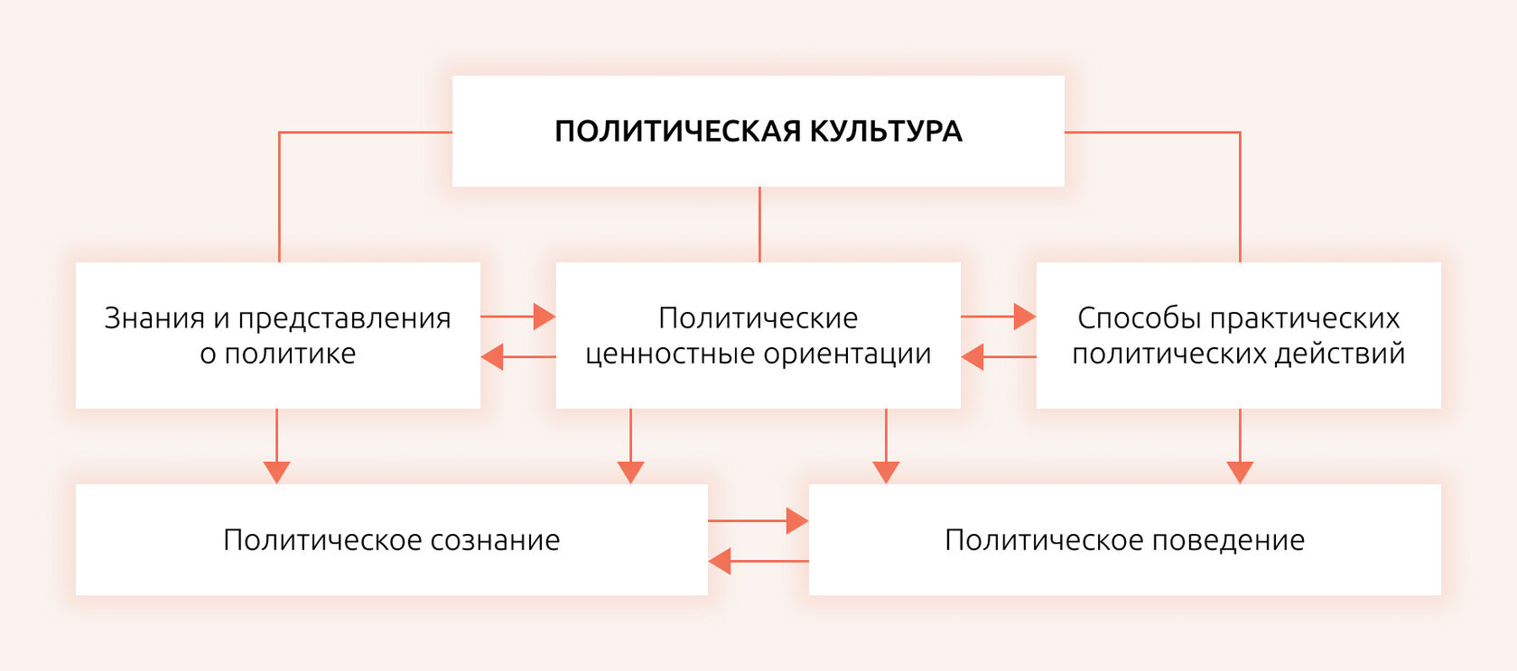 Политическая организация общества конспект