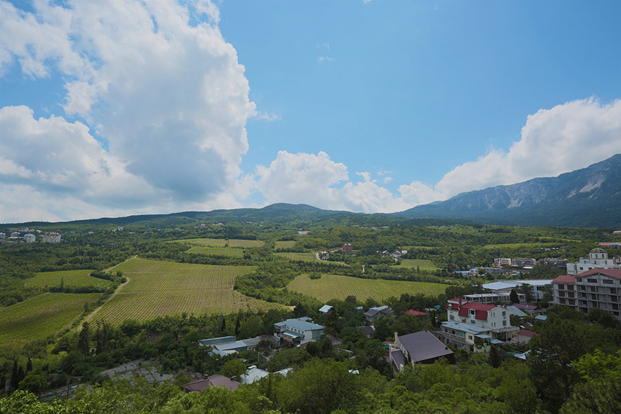 Город ташир армения фото