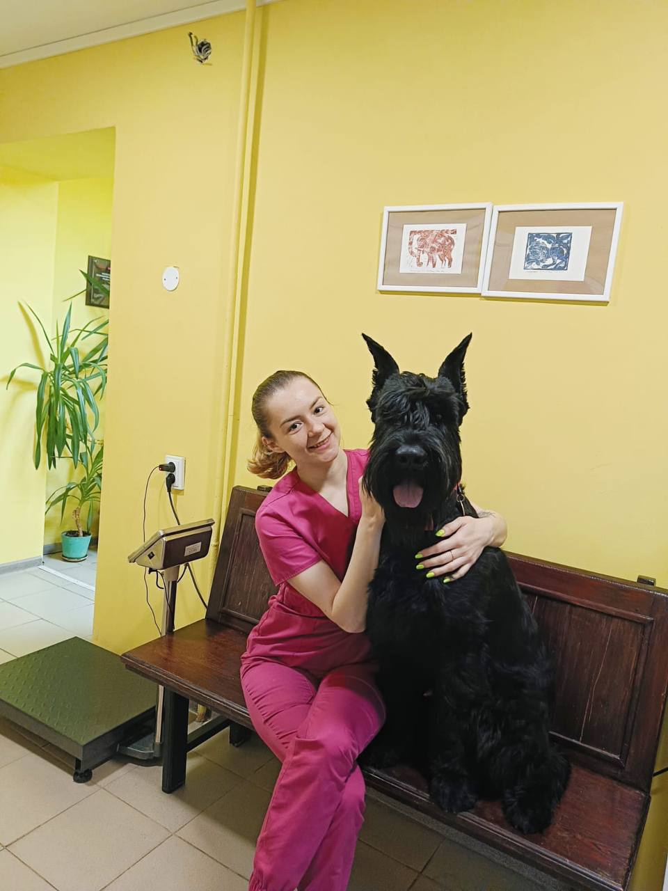 Гастроэнтеролог для животных воронеж