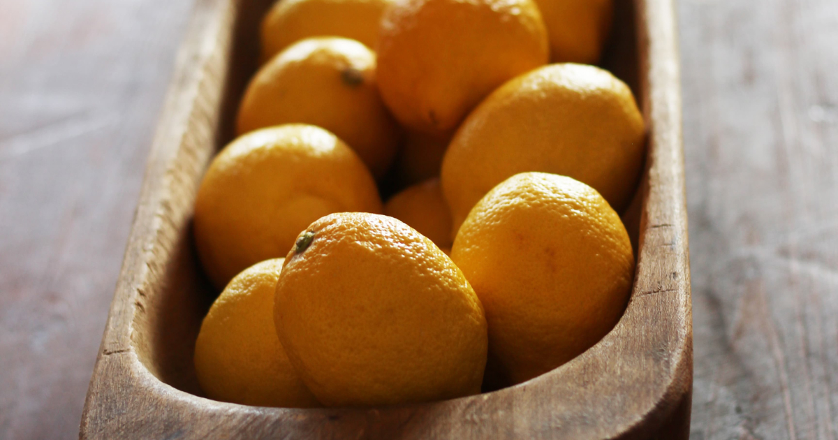 fermentinwonderland.ru