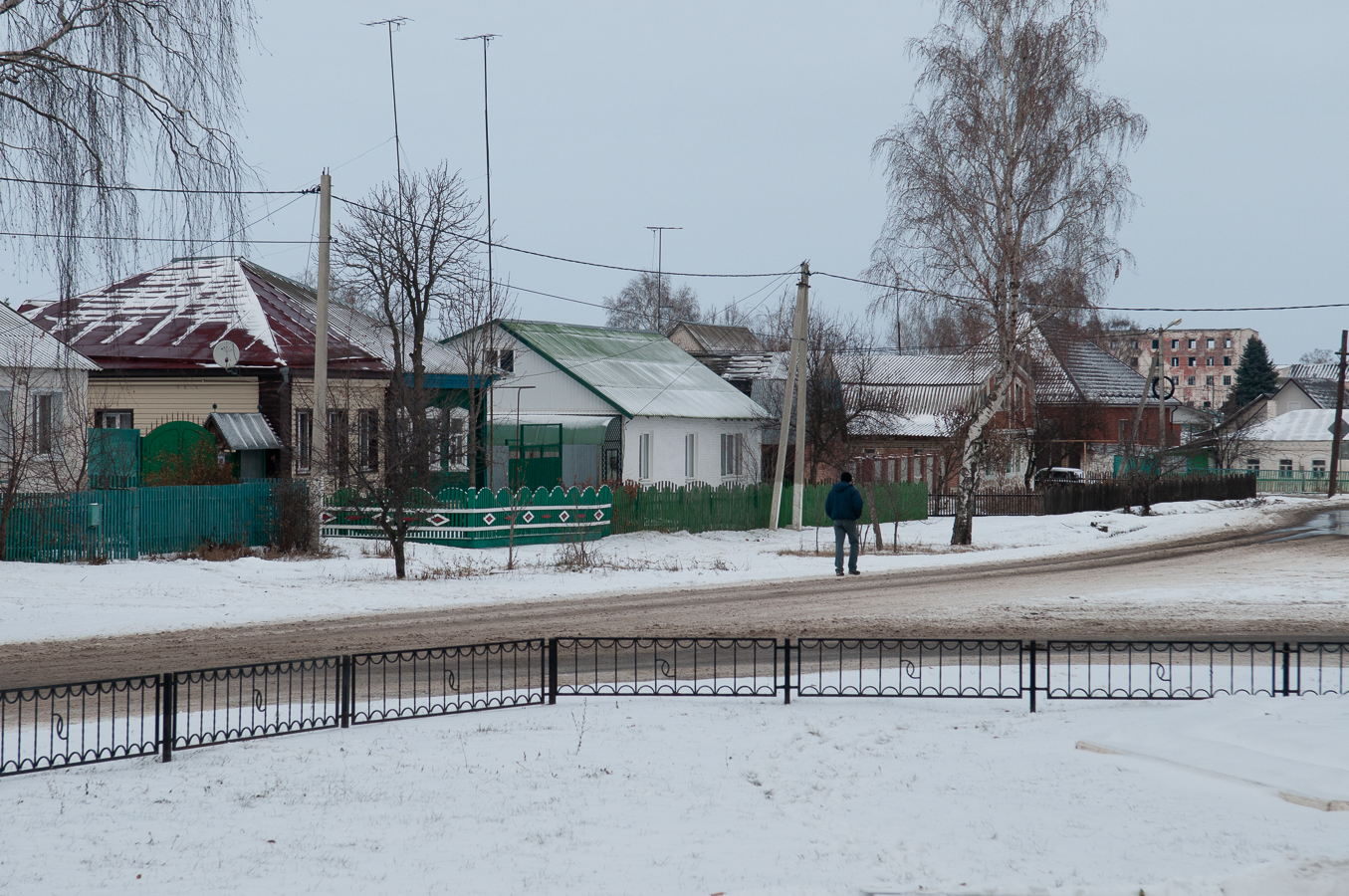 Фото мучкапа тамбовской области