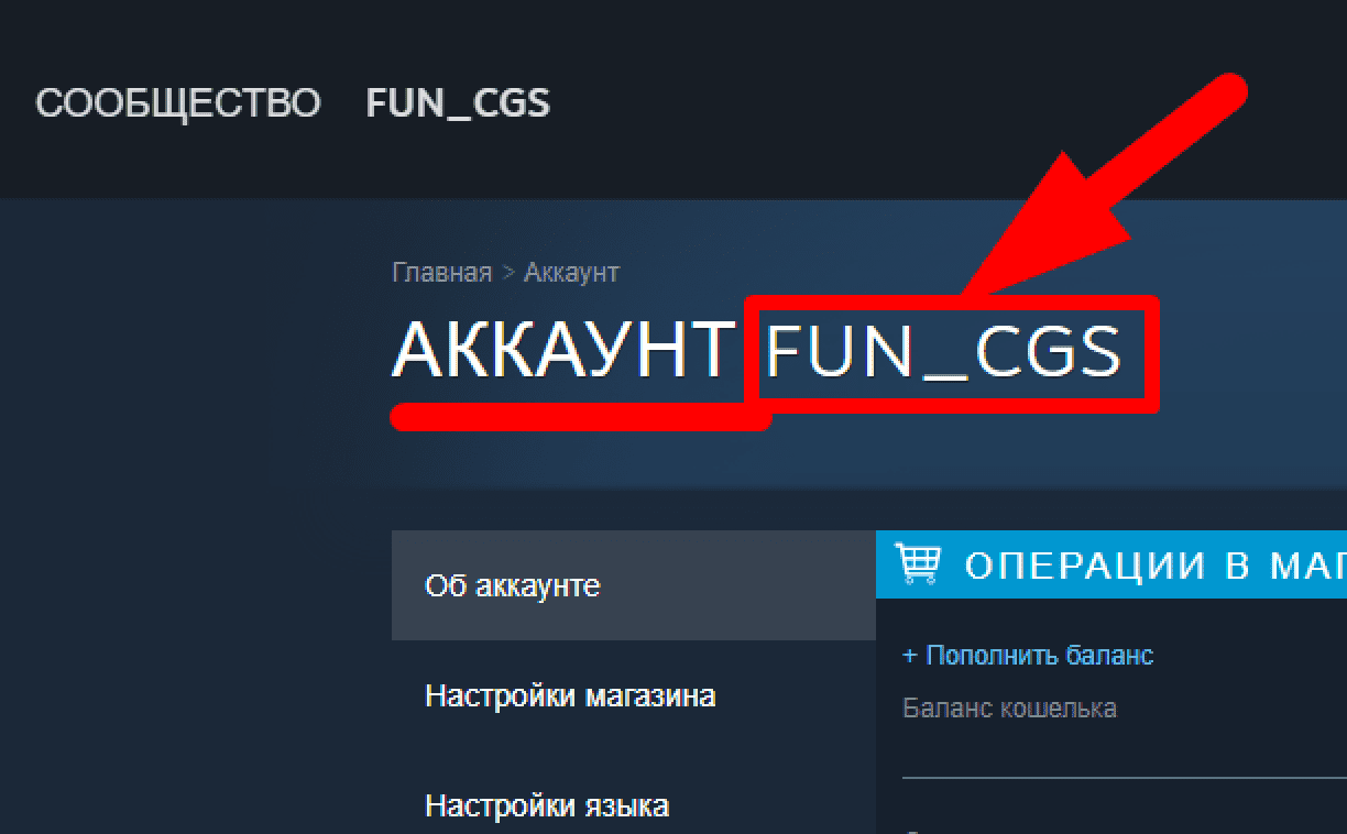 Пополнение баланса funpay. Пополнение баланса funpay