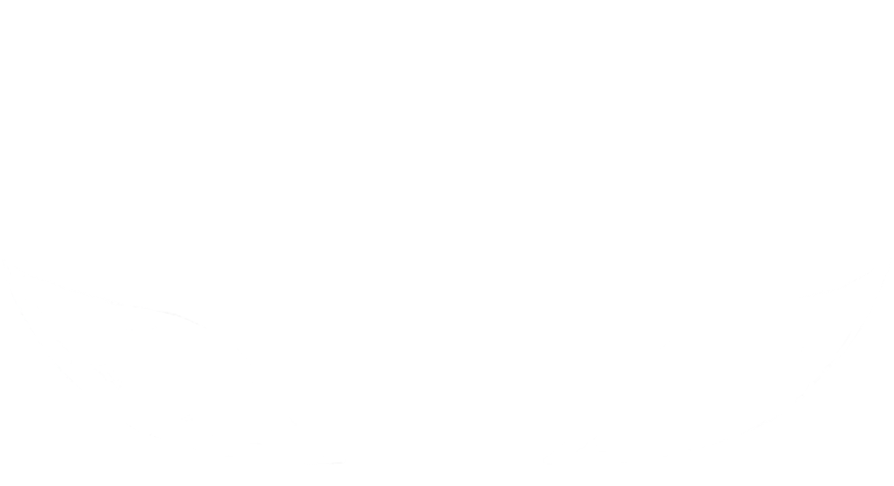 Школа Белого Лотоса