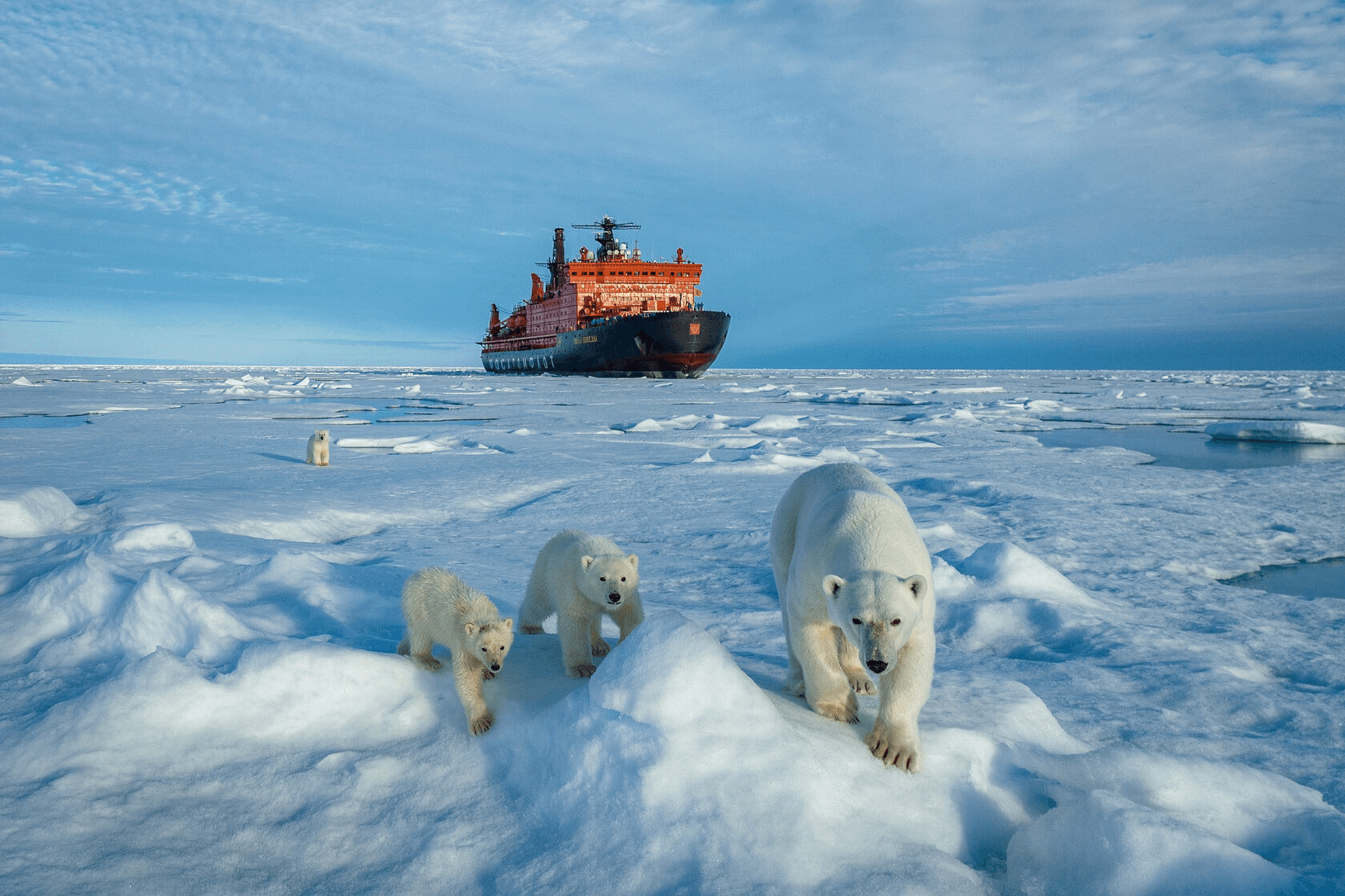 Arctic pole. Ледокол Северный полюс. Мурманск Северный полюс Мурманск. Северный полюс Северный Ледовитый океан. Круиз на Северный полюс на атомном ледоколе.