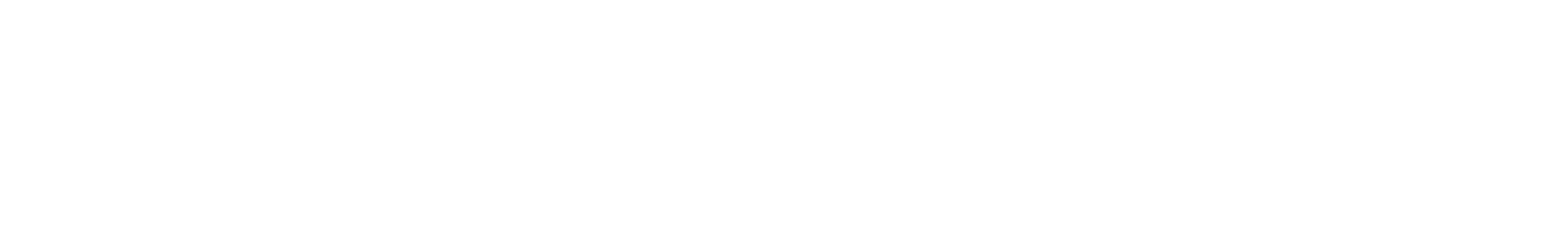 VETER MODELS