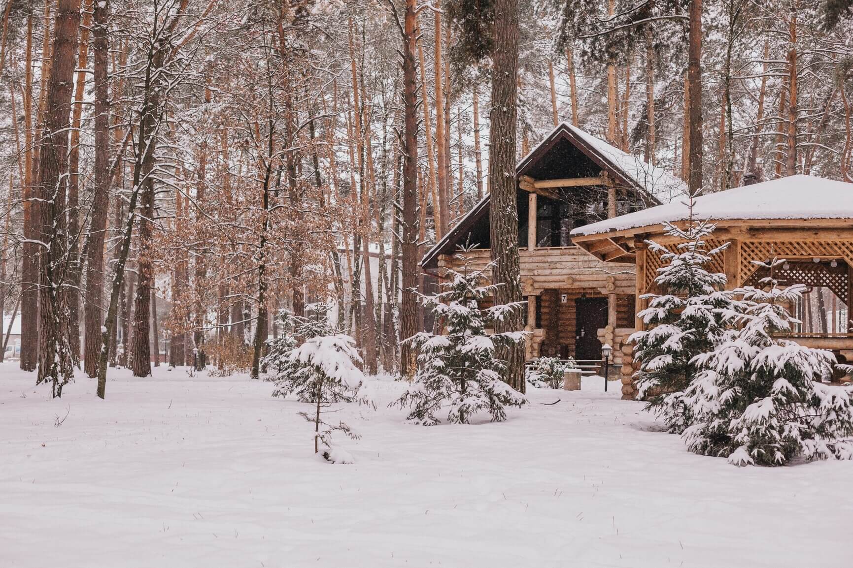 отель парк дракино