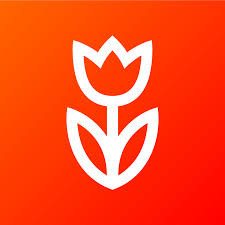 website icon