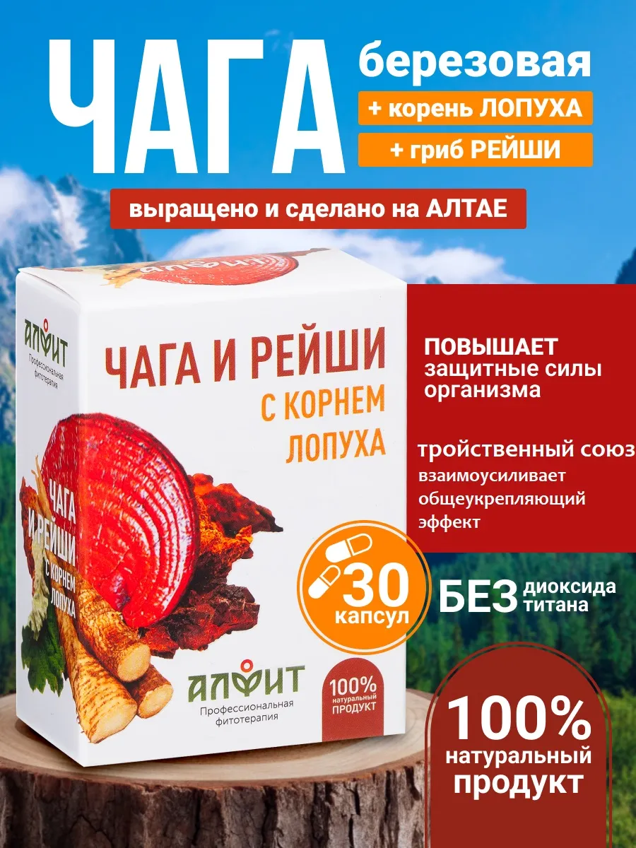 Чага березовая натуральная с рейши и корнем лопуха