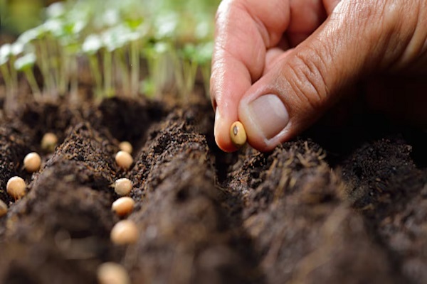 La Universidad Distrital recibió el reconocimiento ‘Sembrador del Futuro’