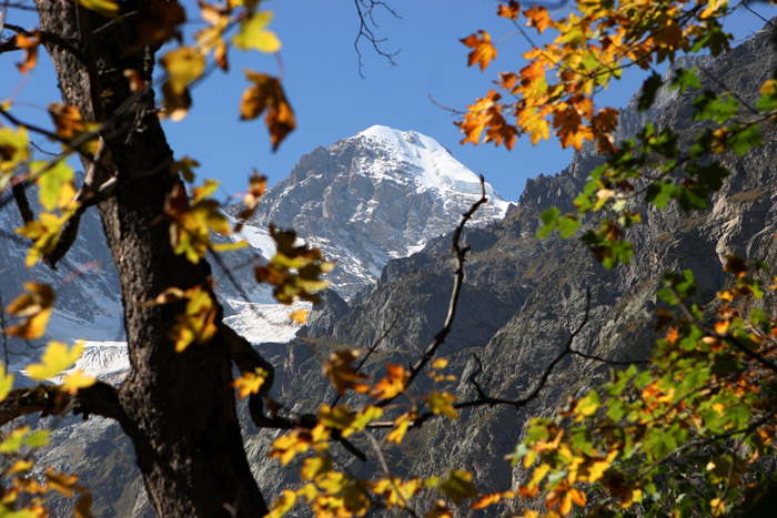 Осенний Владикавказ Фото