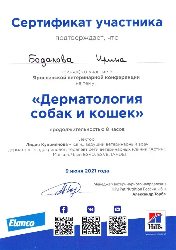 Сертификат 2 Бодалова И.А.
