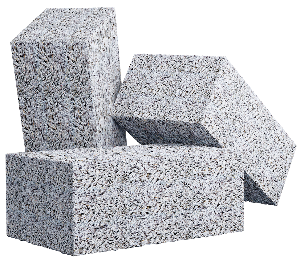 Регион Арболита