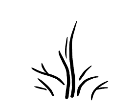 Куст - Кейс КТС