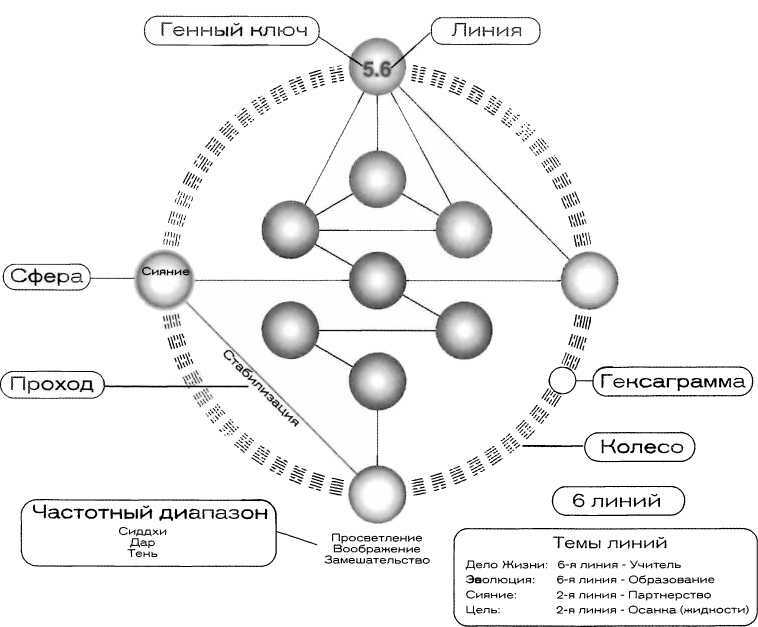 Золотой путь проект