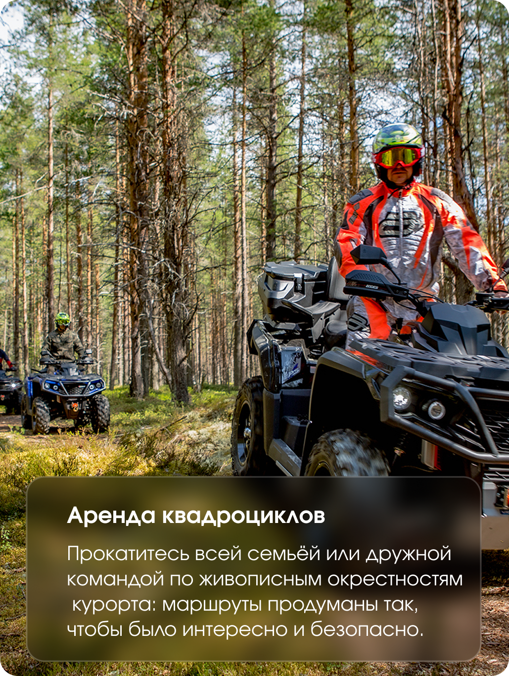 Квадроциклы в сосновом лесу рядом с курортом