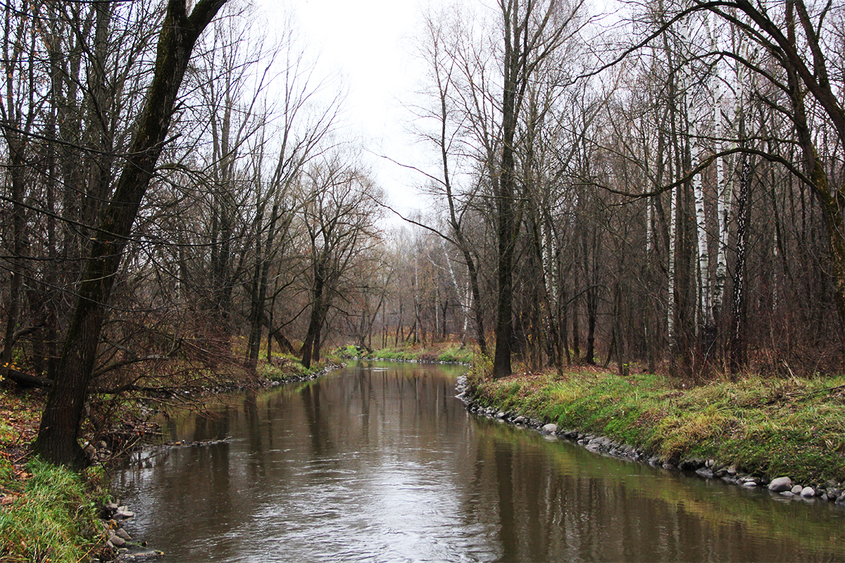 Парк спорта яуза
