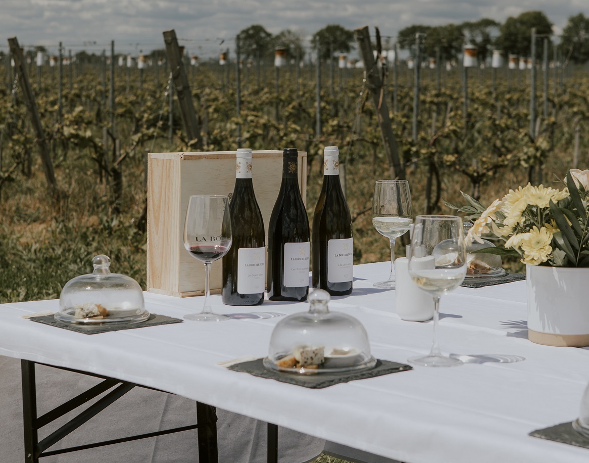 DOMAINE LA BOUCHE DU ROI Vignoble sur la Plaine de Versailles
