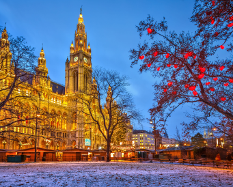 Christmas and New Year in Vienna on Rathausplatz