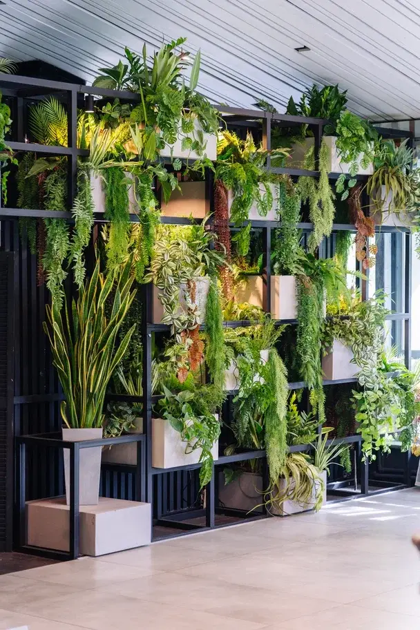 премиум озеленение, фитодизайн под ключ, озеленение ресторана под ключ