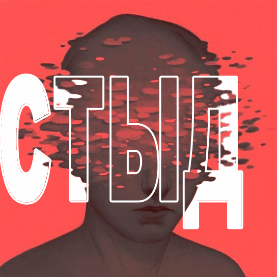 СТЫД покупка записи