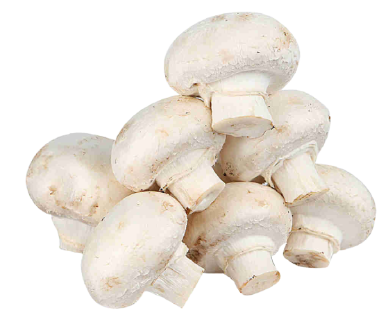 Сити Продукт - поставщик продуктов питания