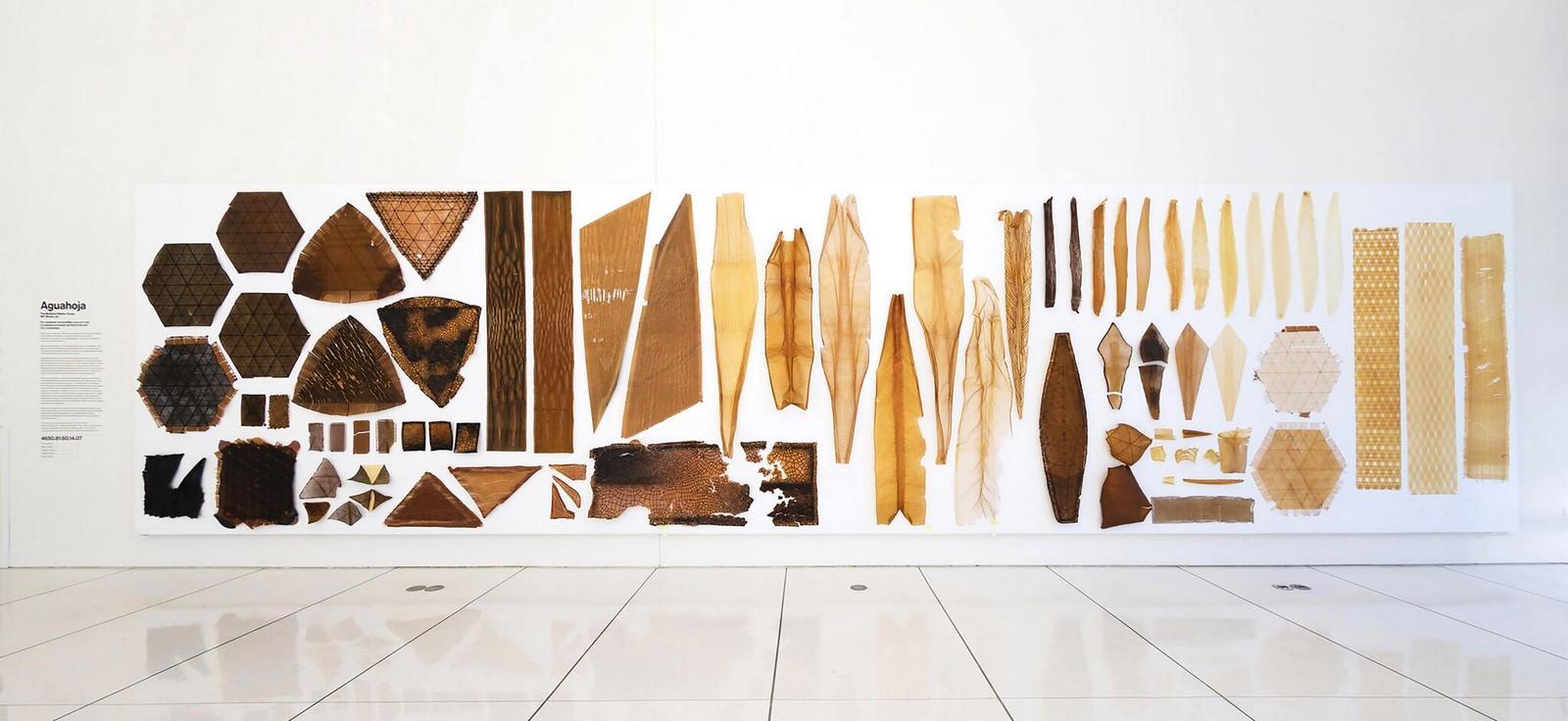 Starchitects Neri Oxman- Queen of Material Ecology - RTF