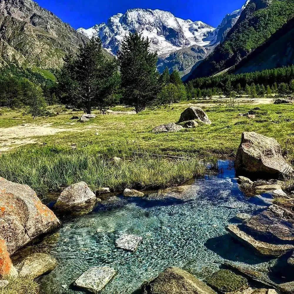 Лес в горах Уллу-Тау