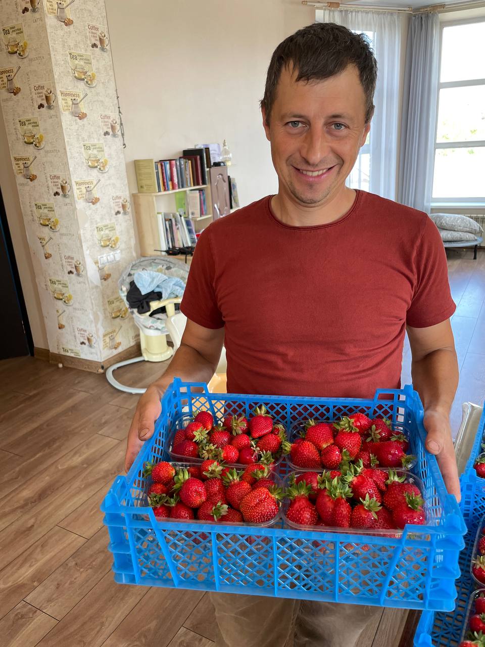 Урожай клубники в ящике на ферме Шаповал