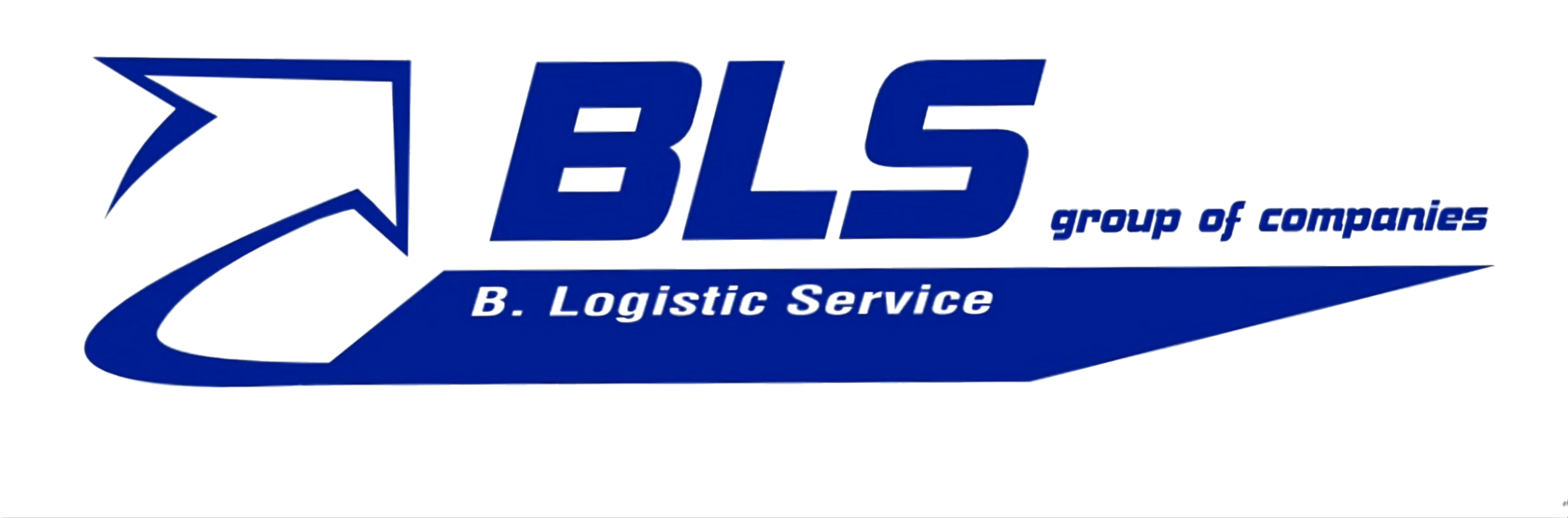 БЛС ГРУПП — B. Logistic Service, группа логистических компаний