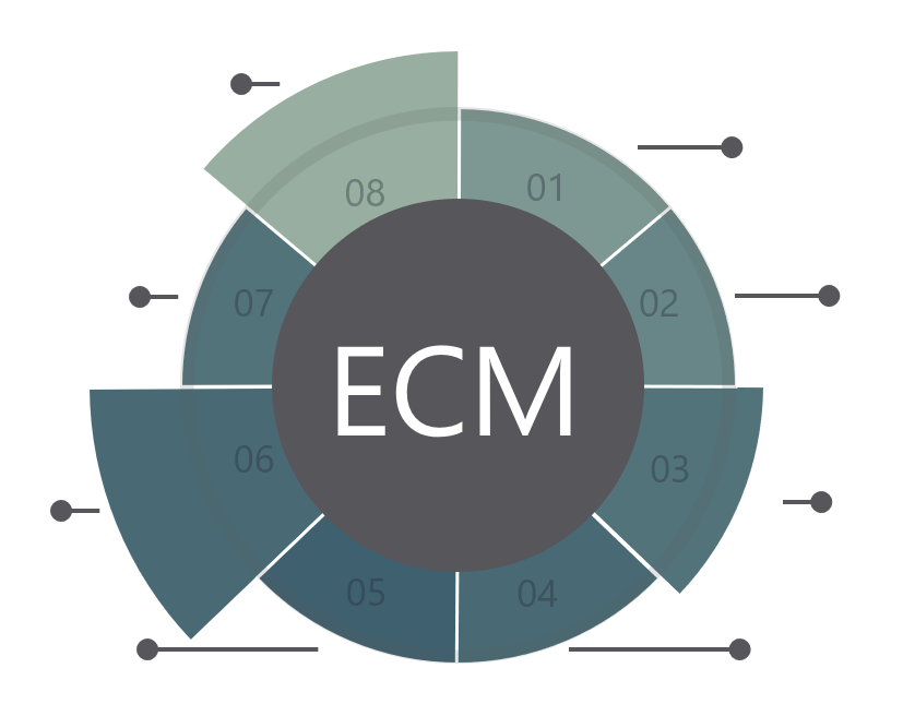 Qms проверка скорости. ECM система. Управление контентом ECM. Enterprise content Management (ECM). ЕСМ система это.