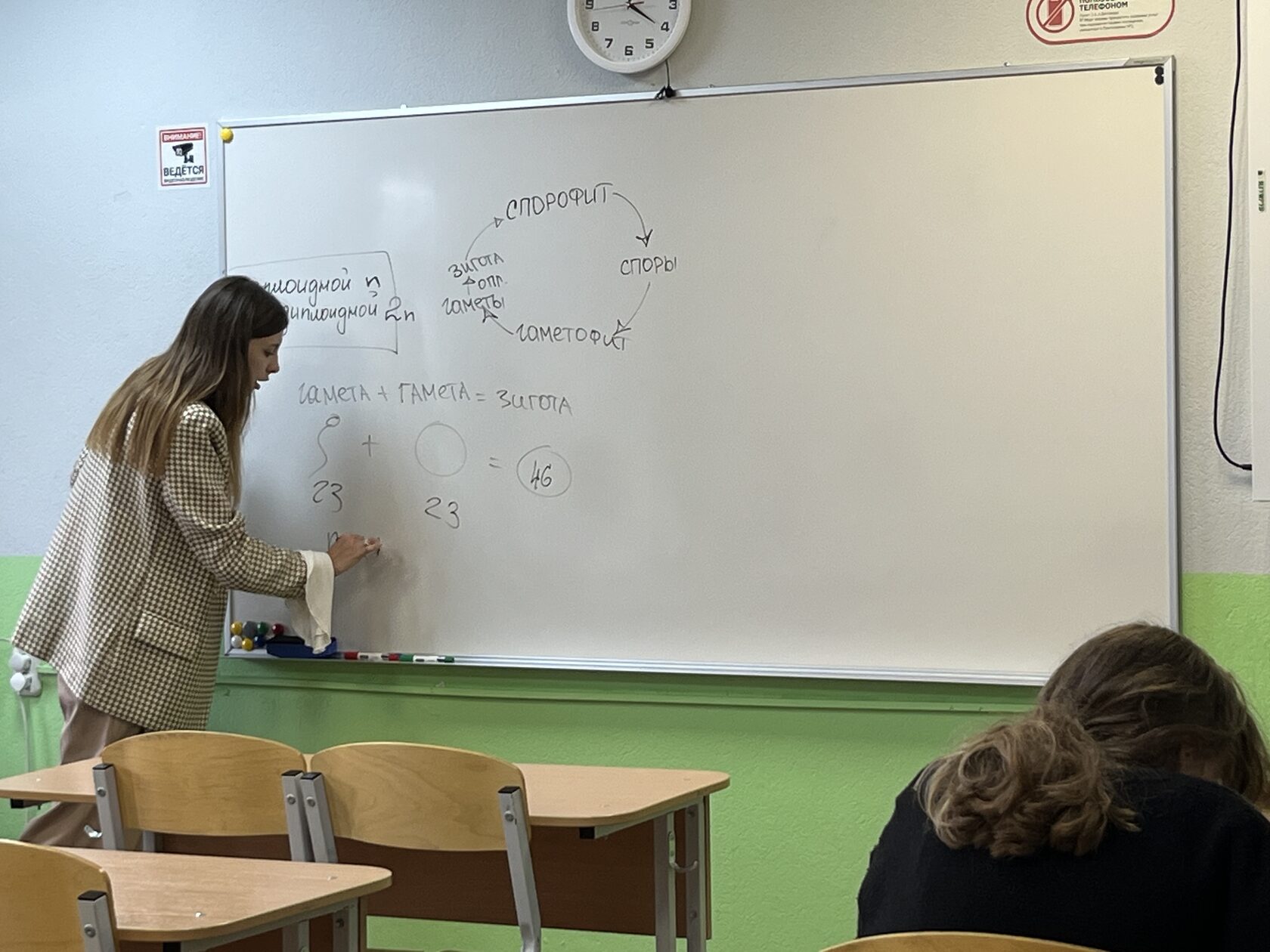 И формулам научат, и мудростью поделятся, изображение №7