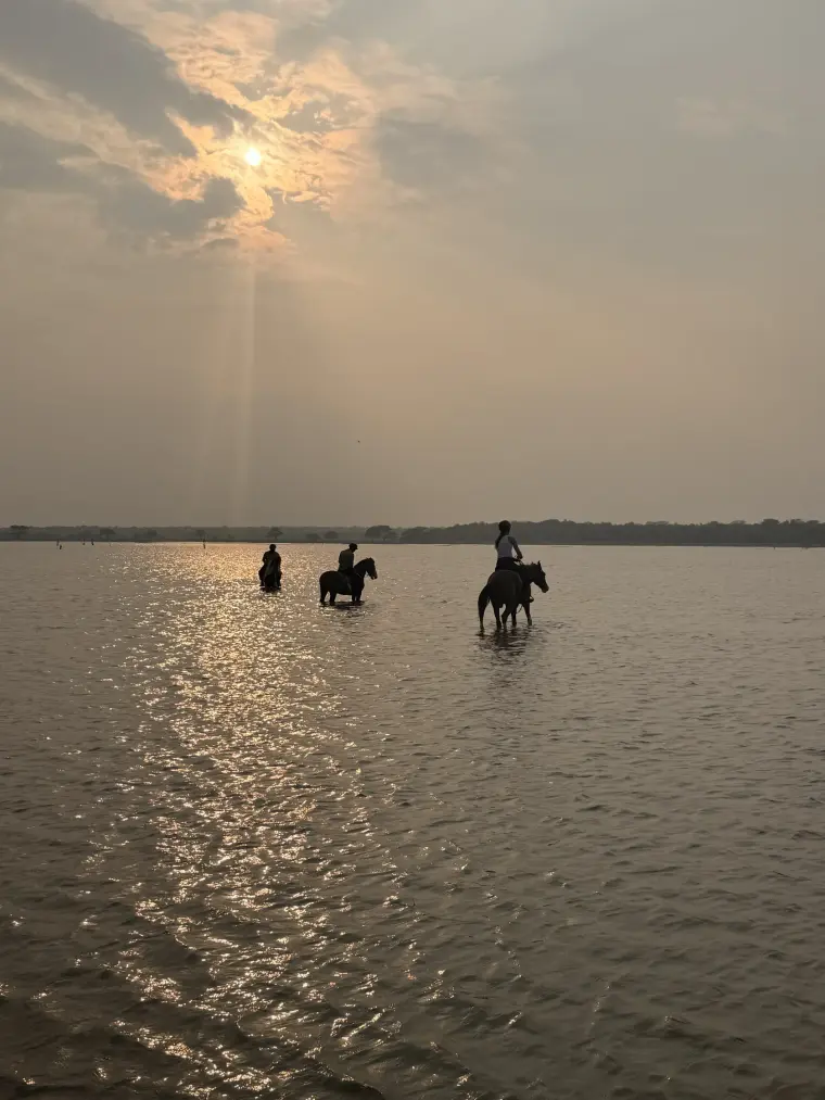 Riders on horseback wade through a still lagoon at sunset on Sri Lankas east coast silhouetted against golden light at Vonfidel Ranch
