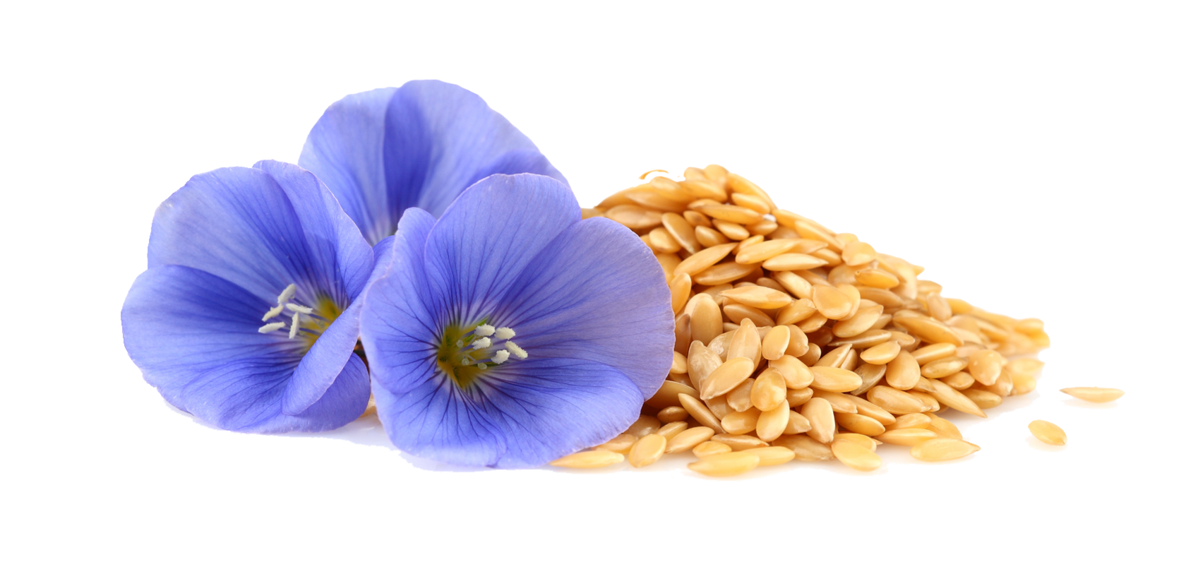 Нормы внесения Гумифулин и Органол для ягодных кустарников