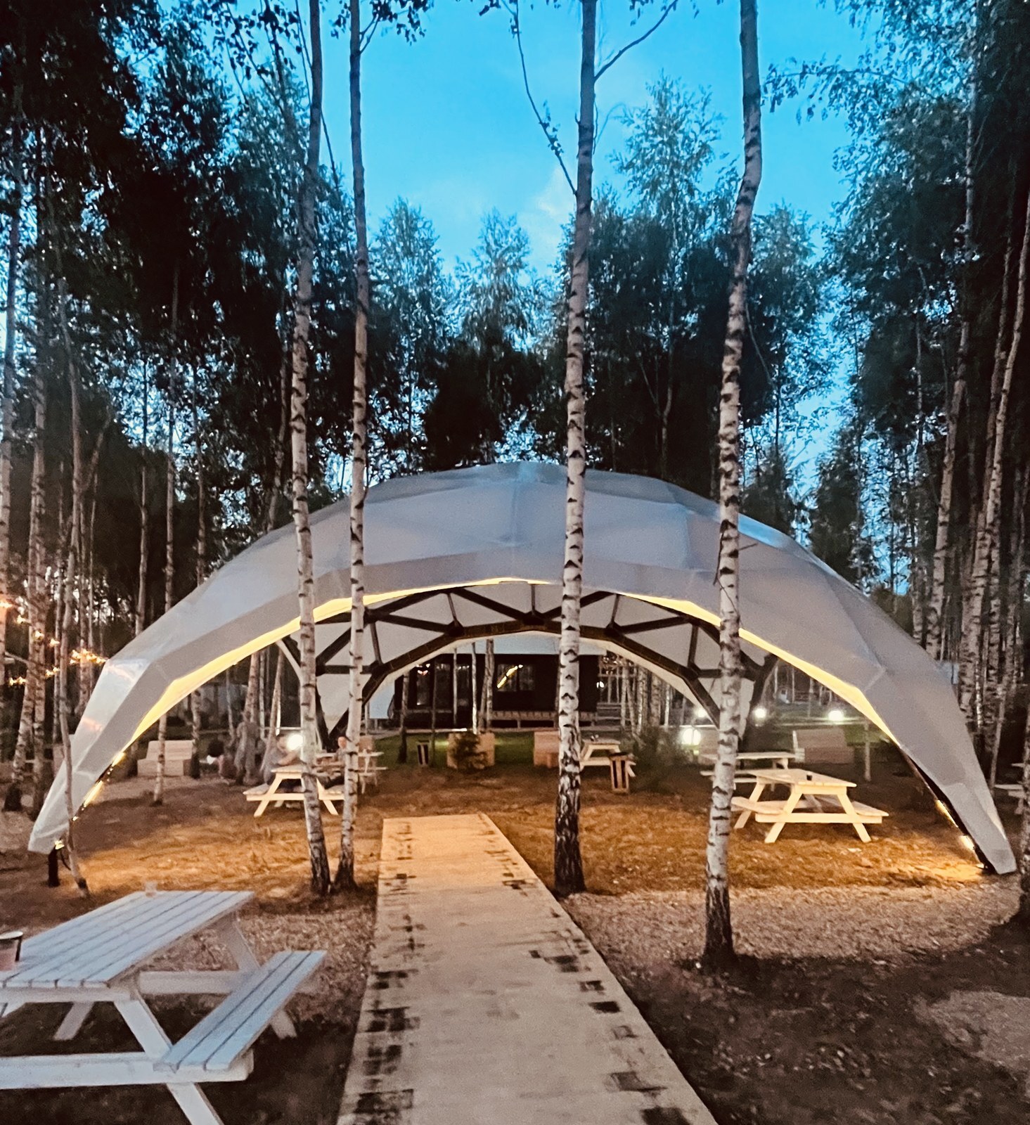 Купольный павильон в берёзовой роще вечером