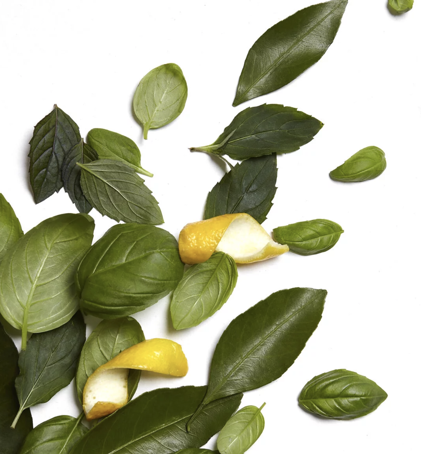 аромат мята и лимонный лист