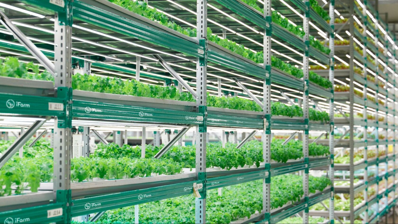 Vertical Farming Costs (2023 Setup And Operating Costs)