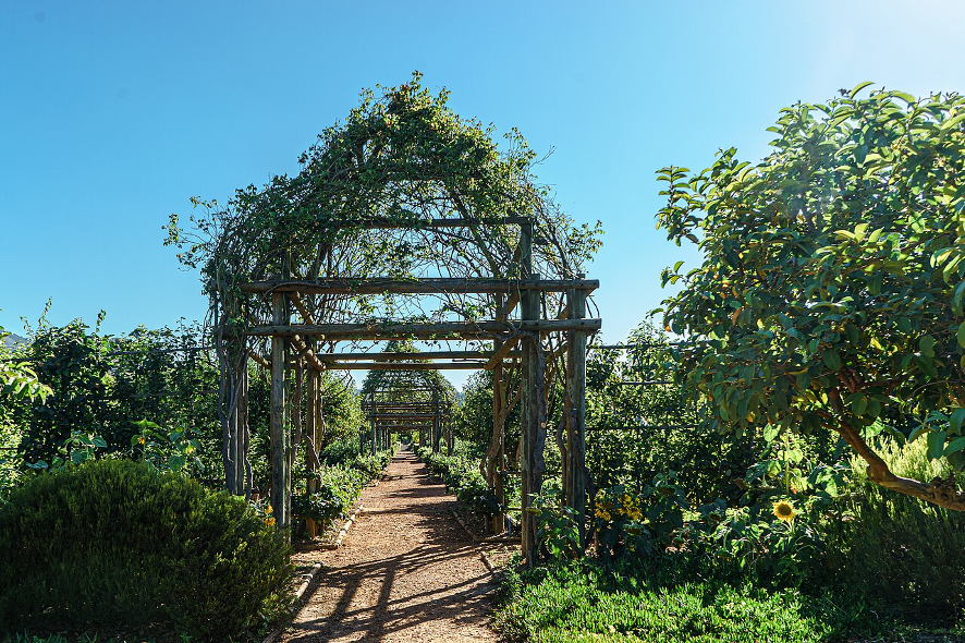 Babylonstoren — сад, ферма и тот самый безупречный капско-голландский порядок. Фото: Nina R / Wikimedia Commons