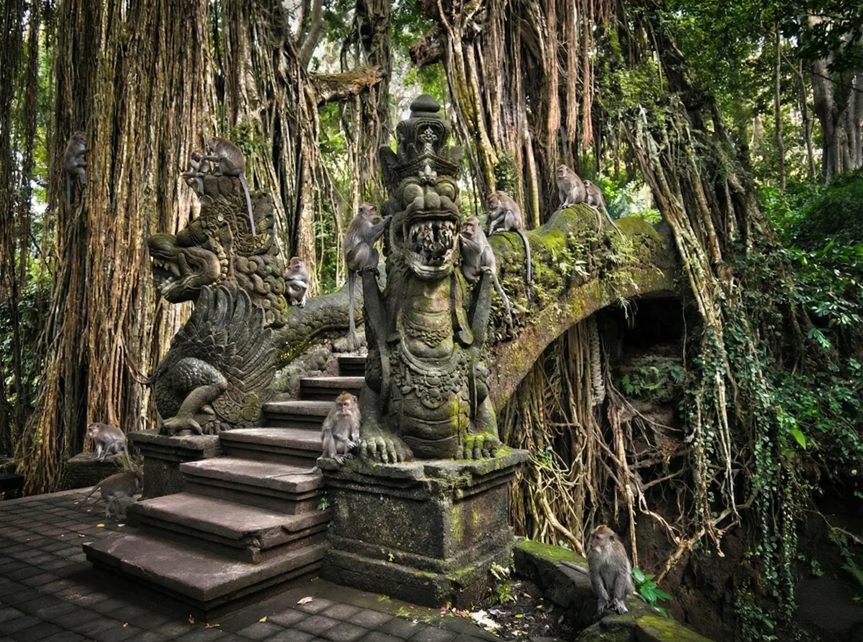 Sacred Monkey Forest | Things to do in Ubud