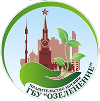 Ульяновское производственное управление гбу озеленение