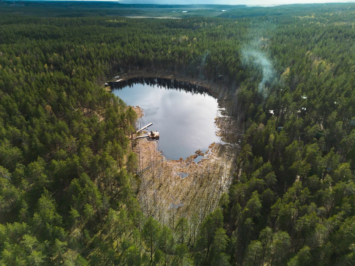 Forest Lake - глэмпинг на берегу озера в сосновом лесу