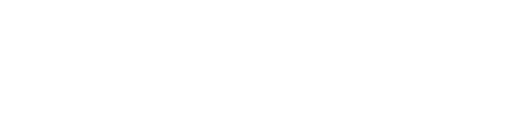 Save Your Hair professional