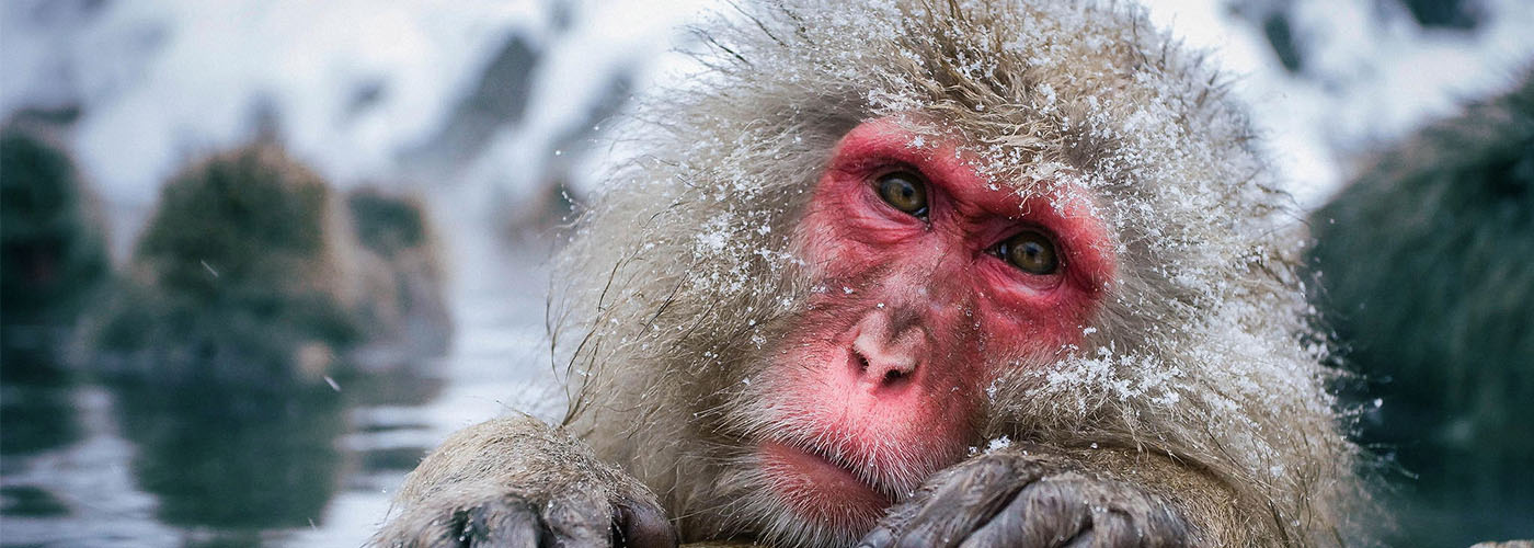 Причины эмоционального выгорания