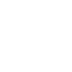 Портретная экспертиза