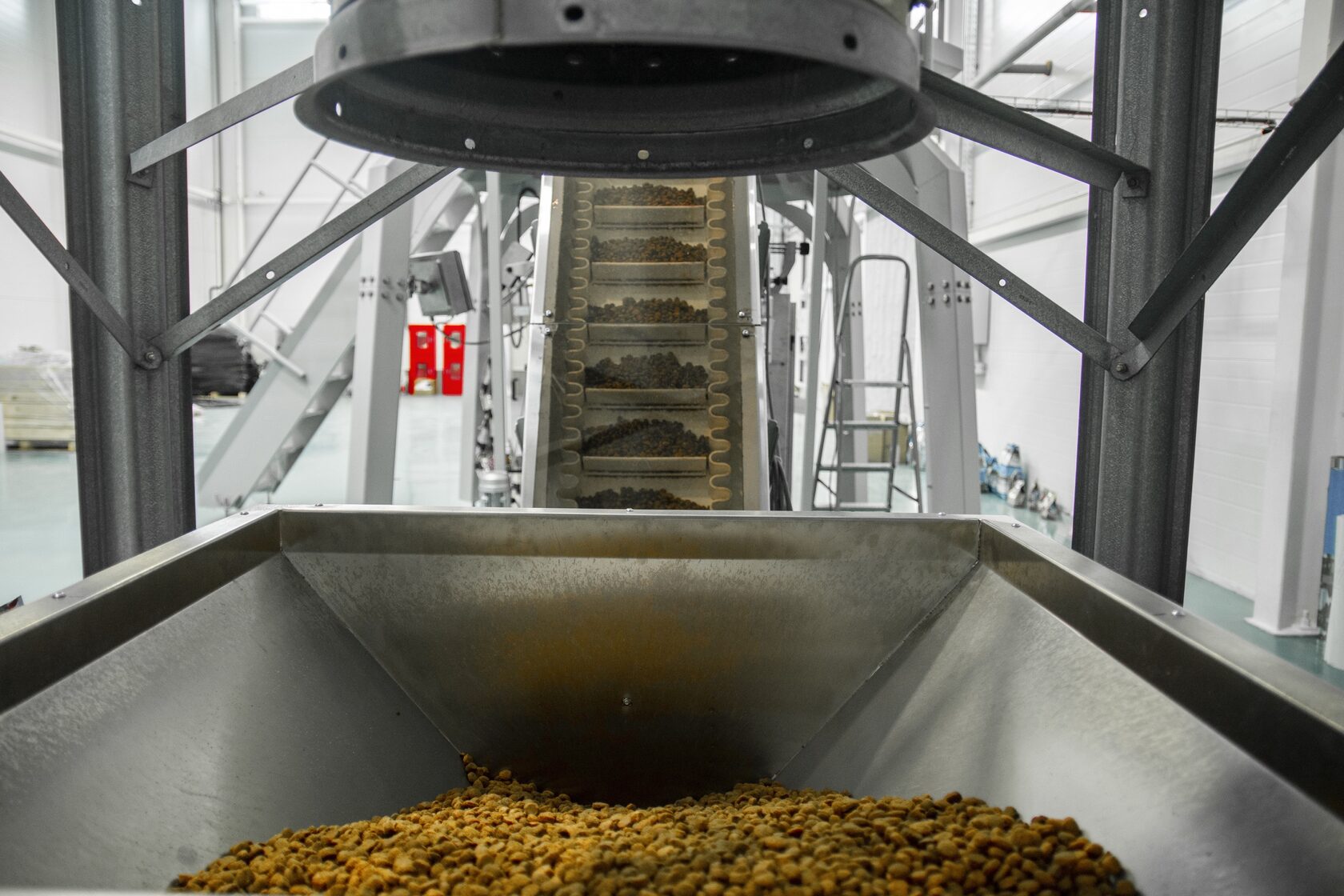 Гранулы корма на производственной линии FAVA