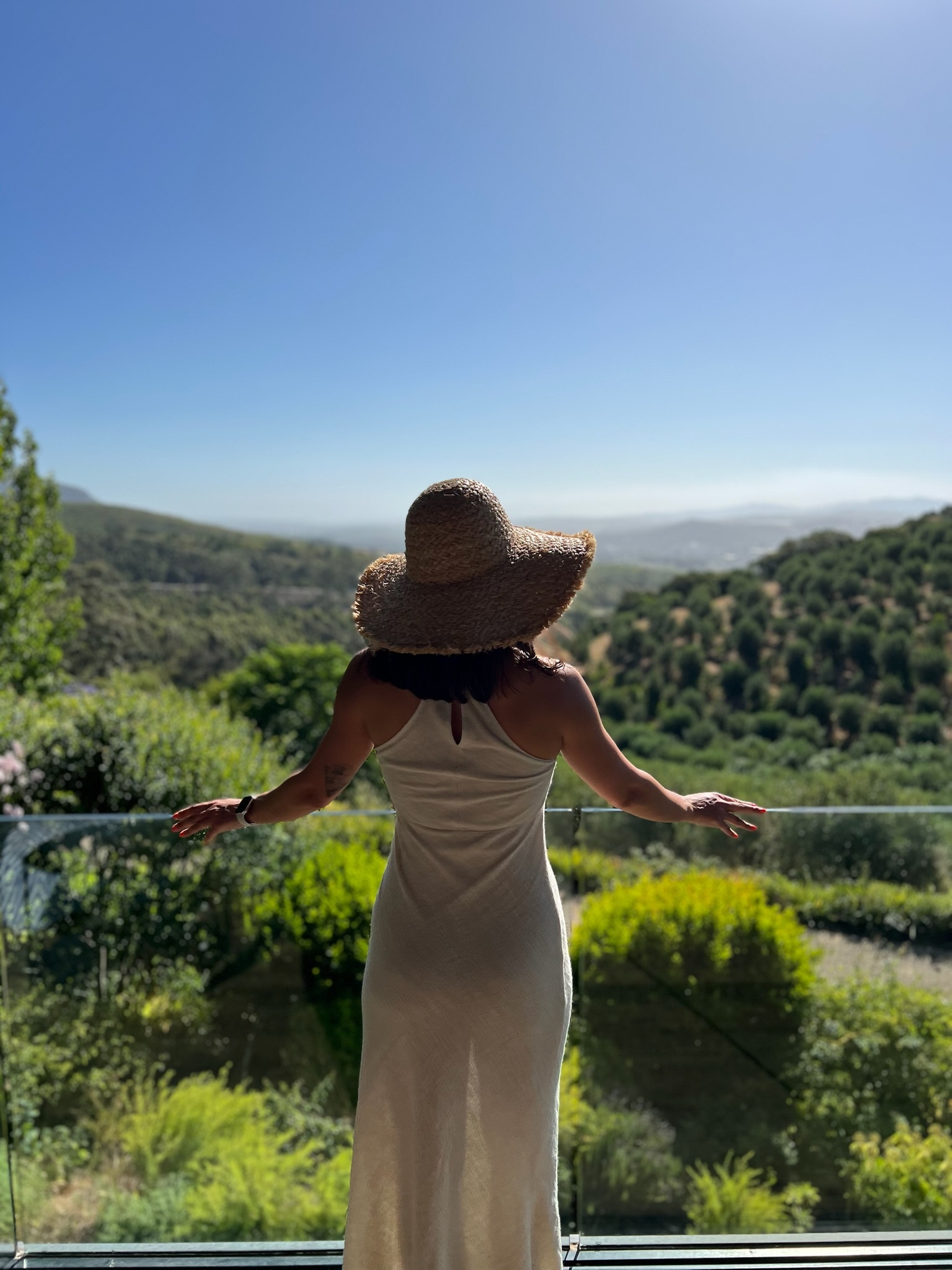 Виноградники Tokara с видом на горы Стелленбоша